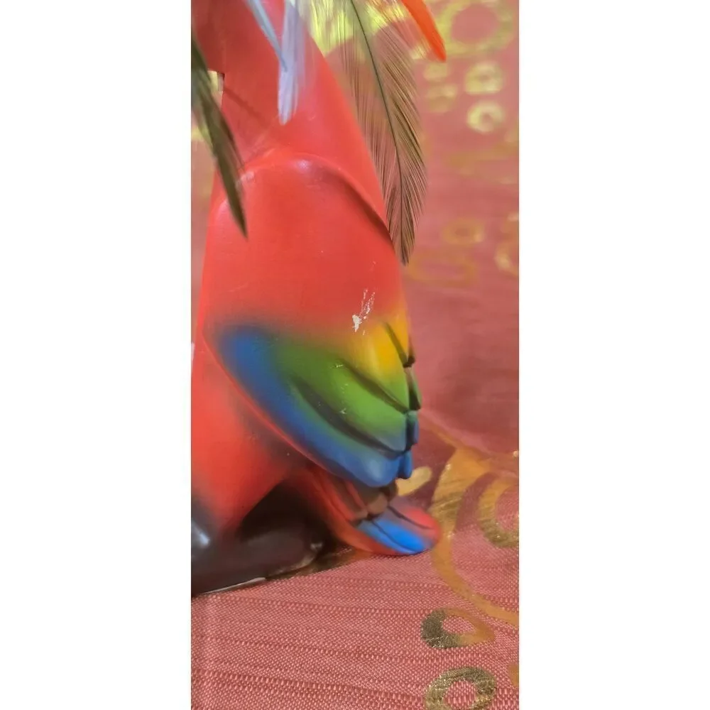 Rare Tropical Parrot 4x6 Picture Holder